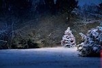 Kerstkaart: Besneeuwde kerstboom met gekleurde kerstverlichting in een sneeuwlandschap