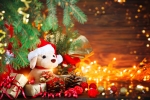 Kerstkaart: Beertje met kerstmuts onder de kerstboom met cadeautjes en kerstverlichting op de vloer
