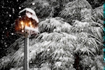 Kerstkaart: Besneeuwde kerstlantaarn met besneeuwde bomen op de achtergrond