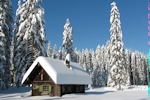Kerstkaart: Besneeuwd huisje in een sneeuwlandschap met sparren