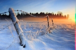 Kerstkaart: Besneeuwde afrastering van prikkeldraad in een sneeuwlandschap bij zonsopkomst
