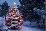Kerstkaart: Besneeuwde kerstboom versierd met gekleurde kerstverlichting met een ster als piek