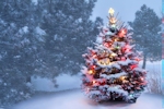 Kerstkaart: Besneeuwde kerstboom met gekleurde kerstverlichting in een bos van besneeuwde bomen