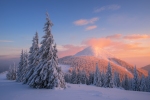 Kerstkaart: Sneeuwlandschap met een berg en sparren