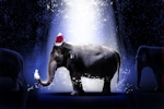 Kerstkaart: Olifant met kerstmuts