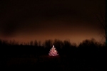 Kerstkaart: Verlichte kerstboom bij het invallen van de duisternis