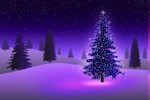 Kerstkaart: Paars verlichte kerstboom met een paarsblauwe achtergrond