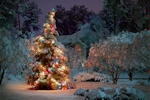 Kerstkaart: Besneeuwde kerstboom met brandende lichtjes met op de achtergrond meer besneeuwde bomen en een huis